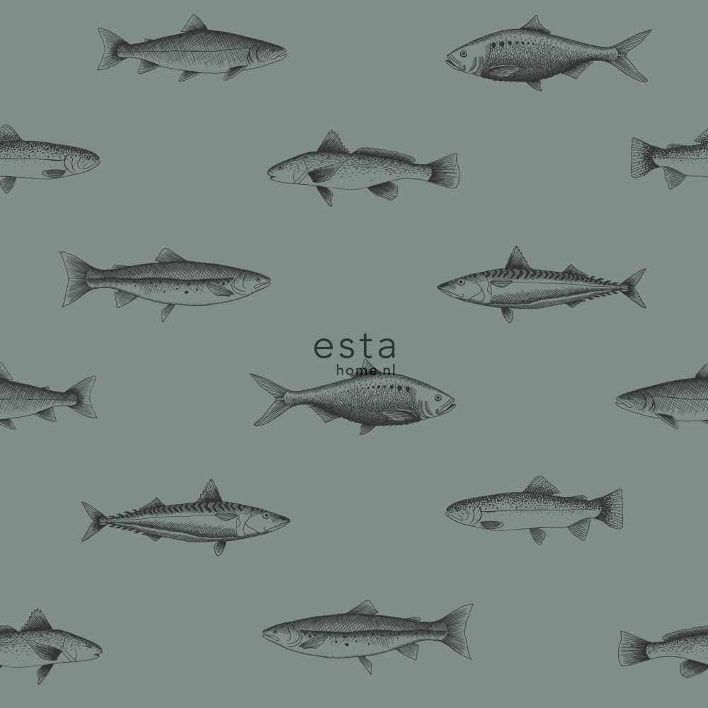 Esta Home Regatta Crew - Surf Edition 128874