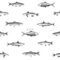 Esta Home Regatta Crew - Surf Edition 138967