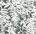 Little Greene 20th Century Papers Fern 1960 Off Black