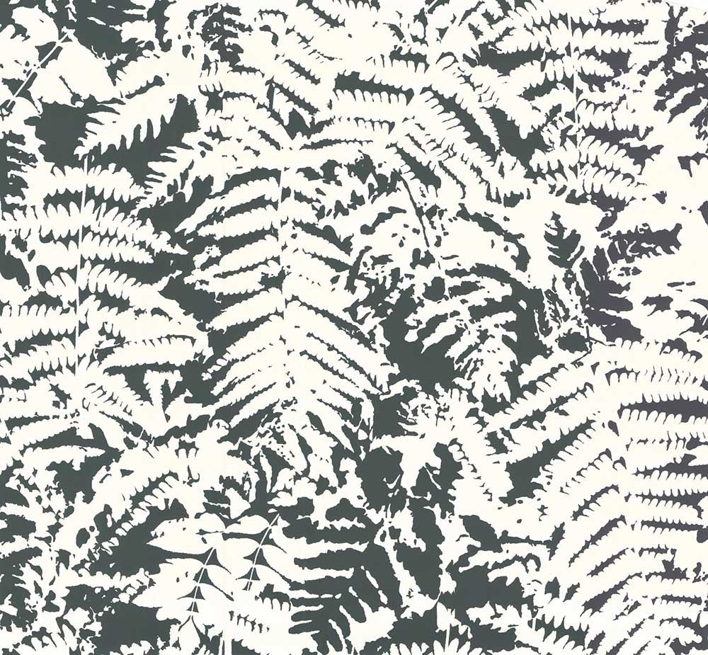 Little Greene 20th Century Papers Fern 1960 Off Black