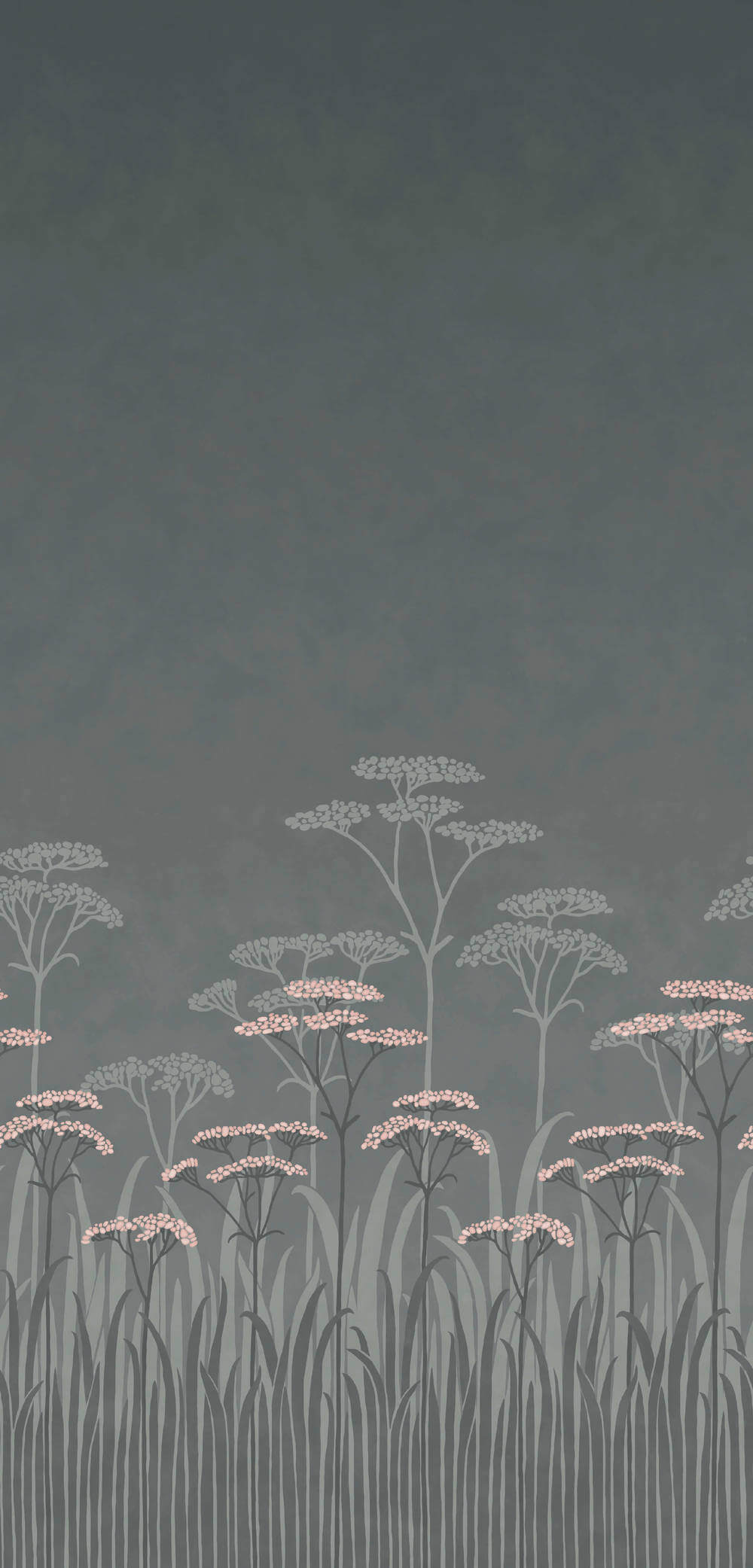 Little Greene National Trust Papers Achillea Twilight