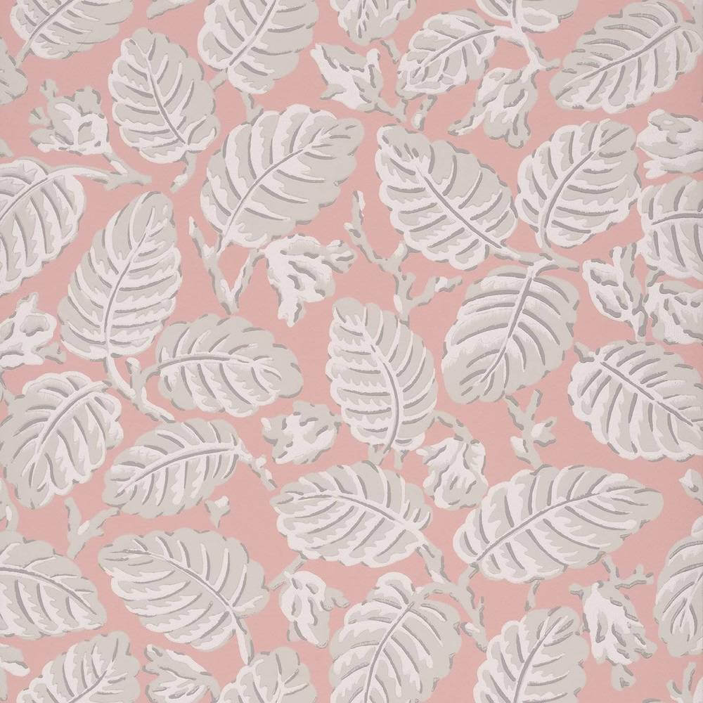 Little Greene National Trust Papers II Beech Nut Delicate
