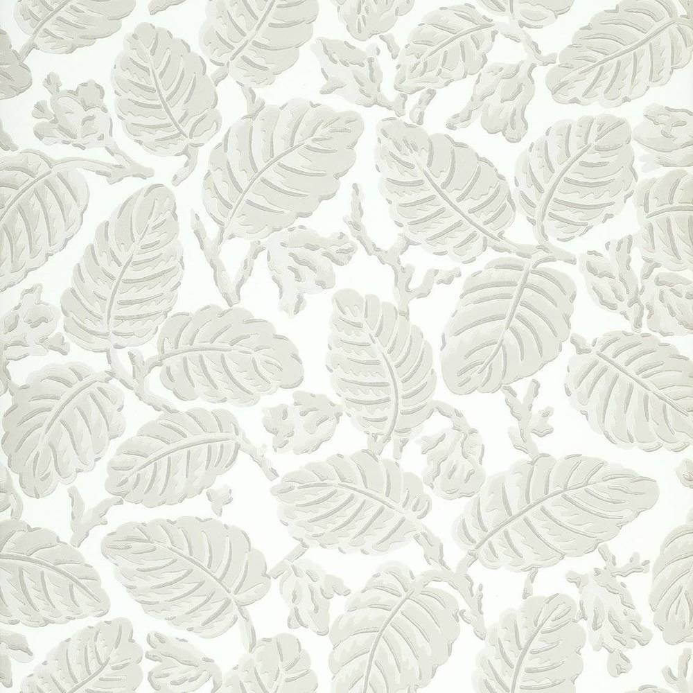 Little Greene National Trust Papers II Beech Nut Warm Grey