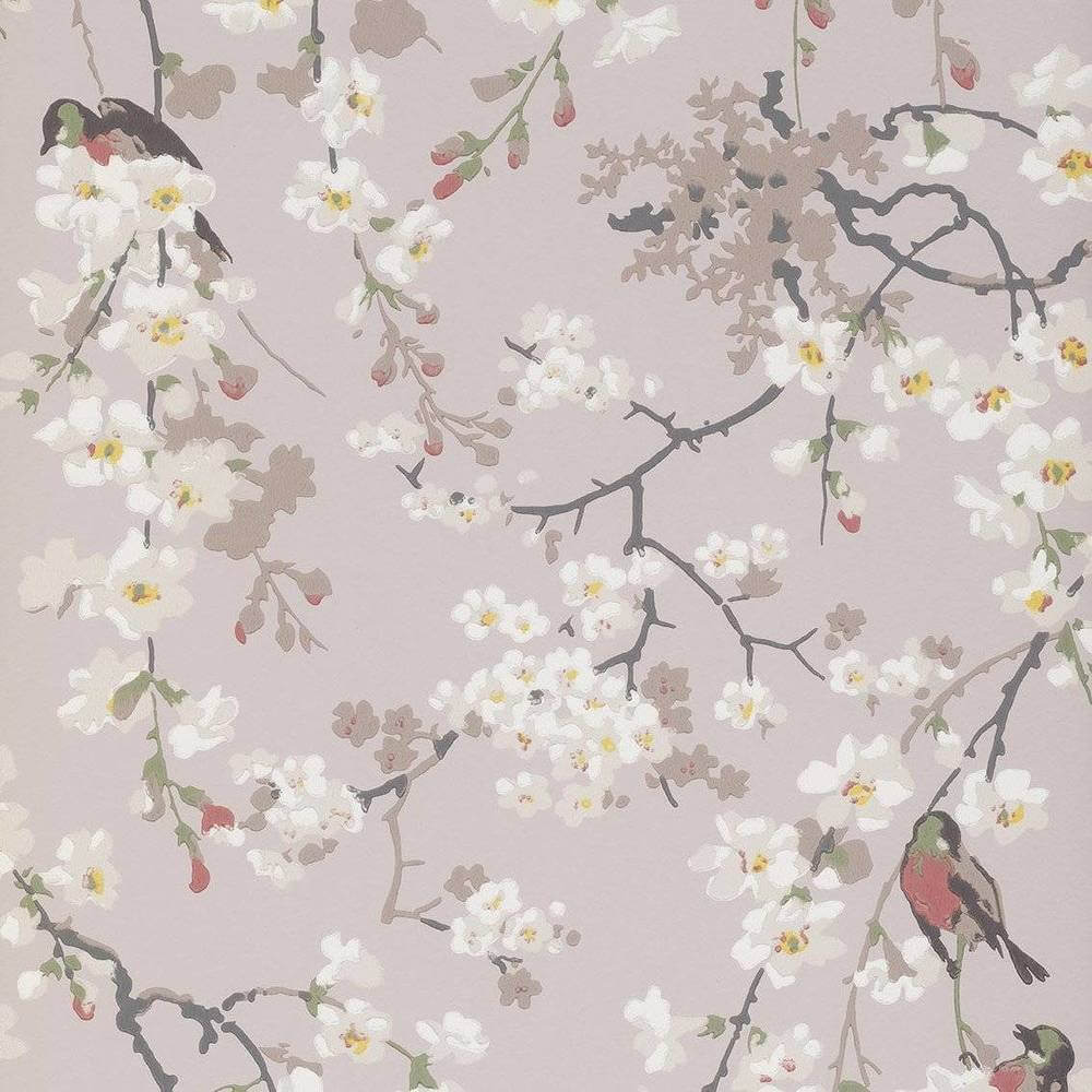 Little Greene National Trust Papers II Massingberd Blossom Grey