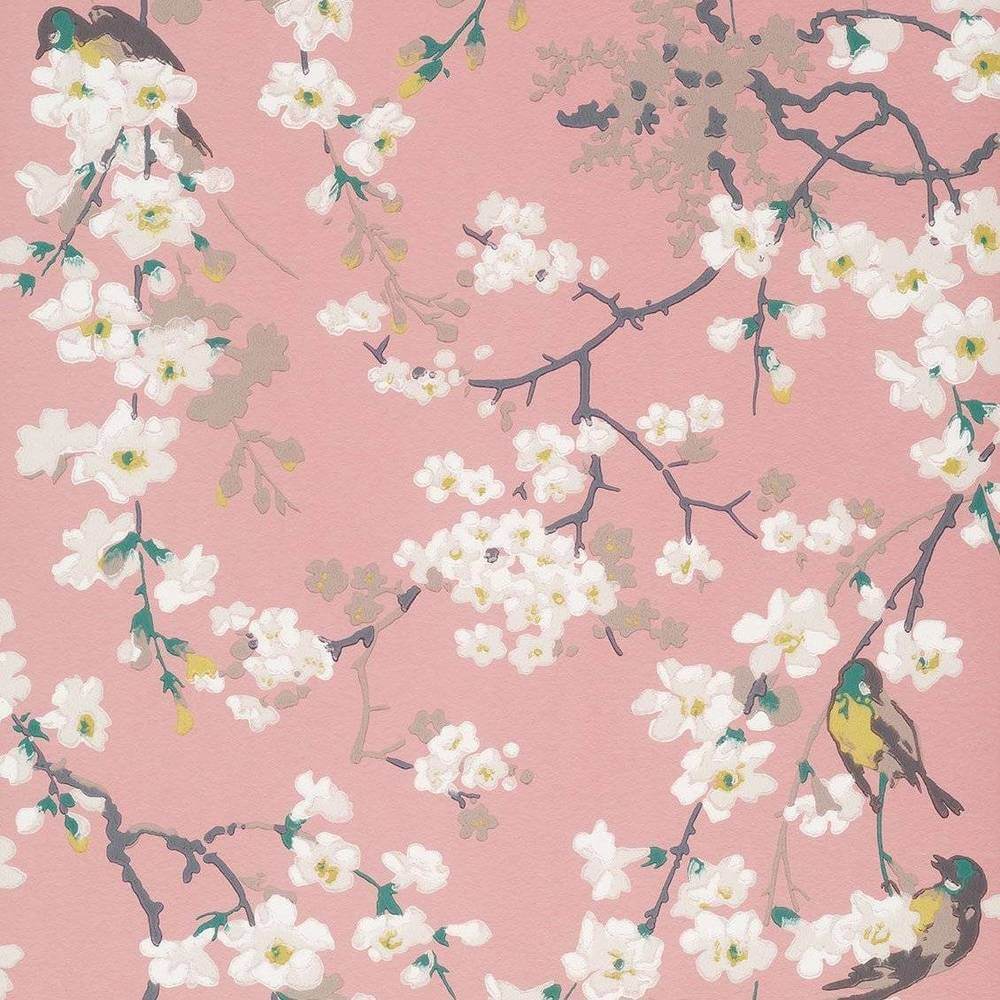 Little Greene National Trust Papers II Massingberd Blossom Oriental