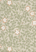 Little Greene National Trust Papers III Briar Rose Green Mist