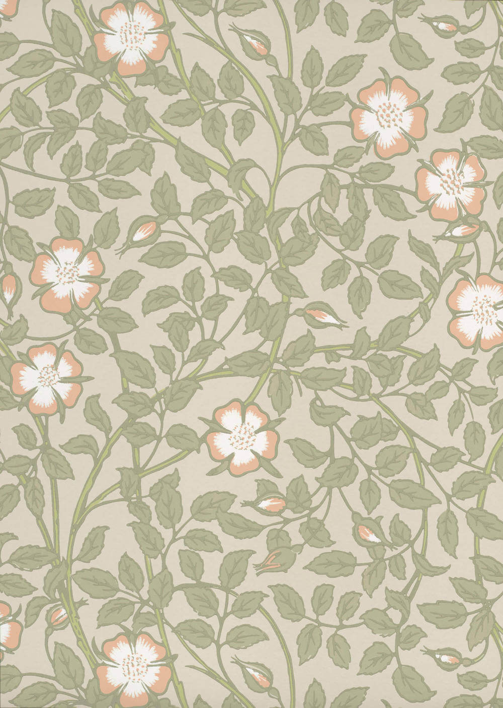 Little Greene National Trust Papers III Briar Rose Green Mist