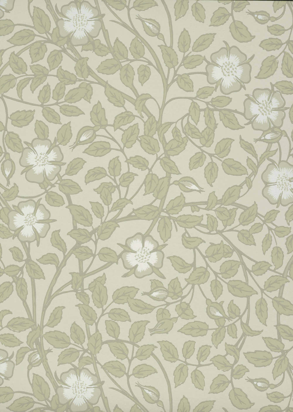 Little Greene National Trust Papers III Briar Rose Green Stone