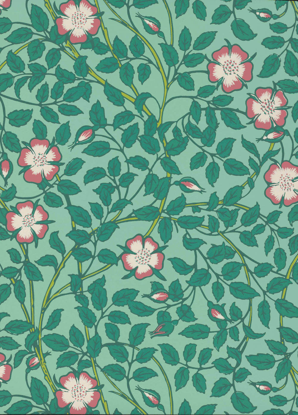 Little Greene National Trust Papers III Briar Rose Green Verditer