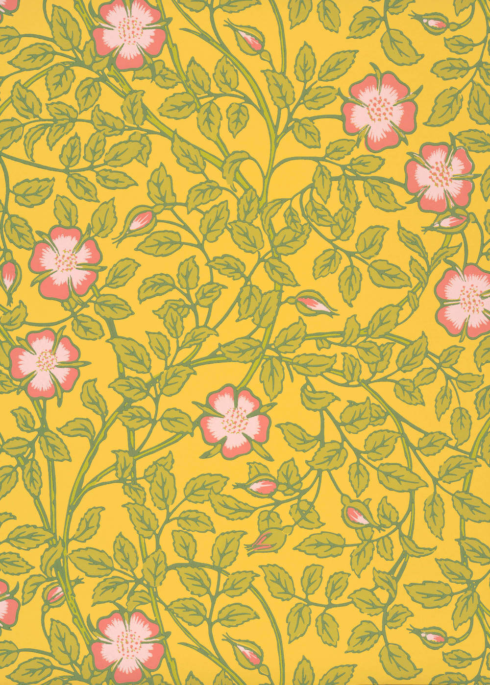 Little Greene National Trust Papers III Briar Rose Indian Yellow
