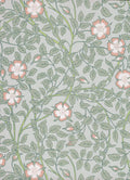 Little Greene National Trust Papers III Briar Rose Salix