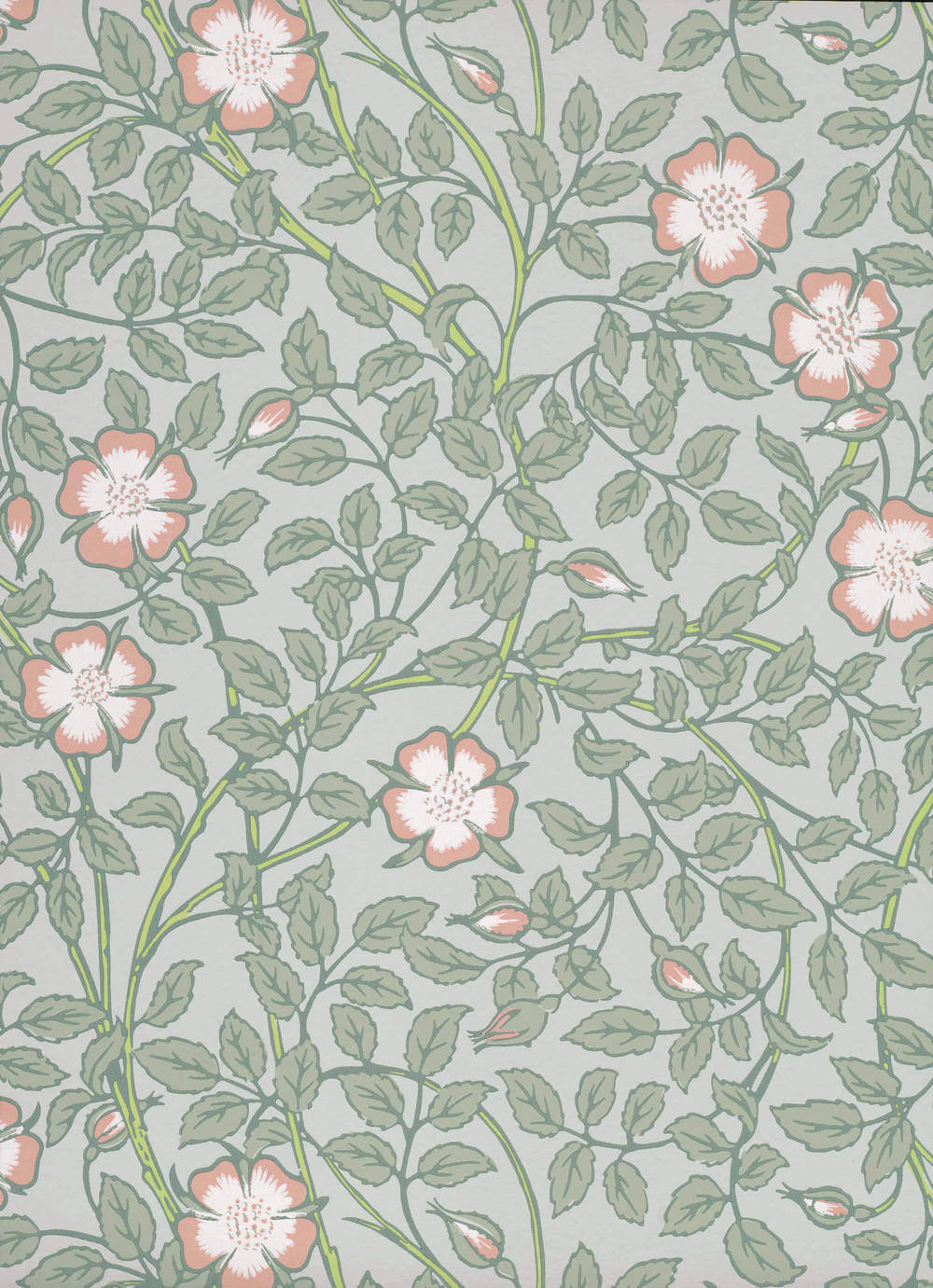Little Greene National Trust Papers III Briar Rose Salix
