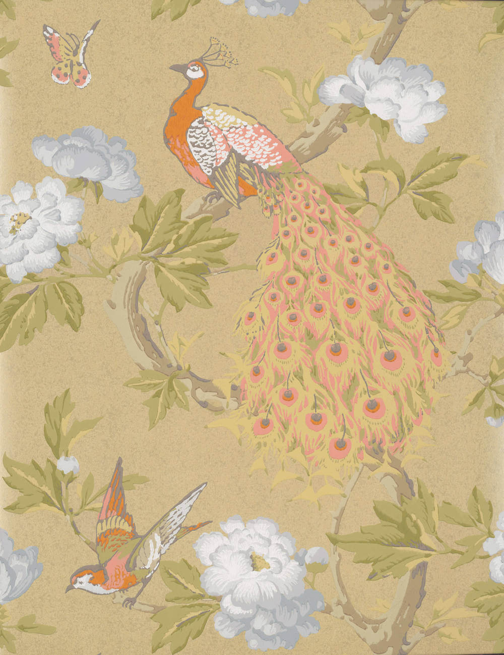 Little Greene National Trust Papers Pavona Gina