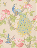Little Greene National Trust Papers Pavona Hazel