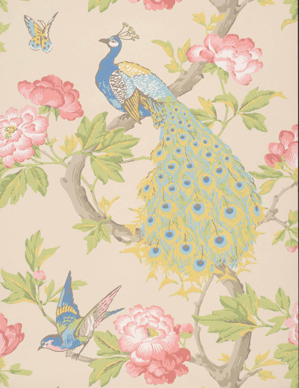 Little Greene National Trust Papers Pavona Hazel