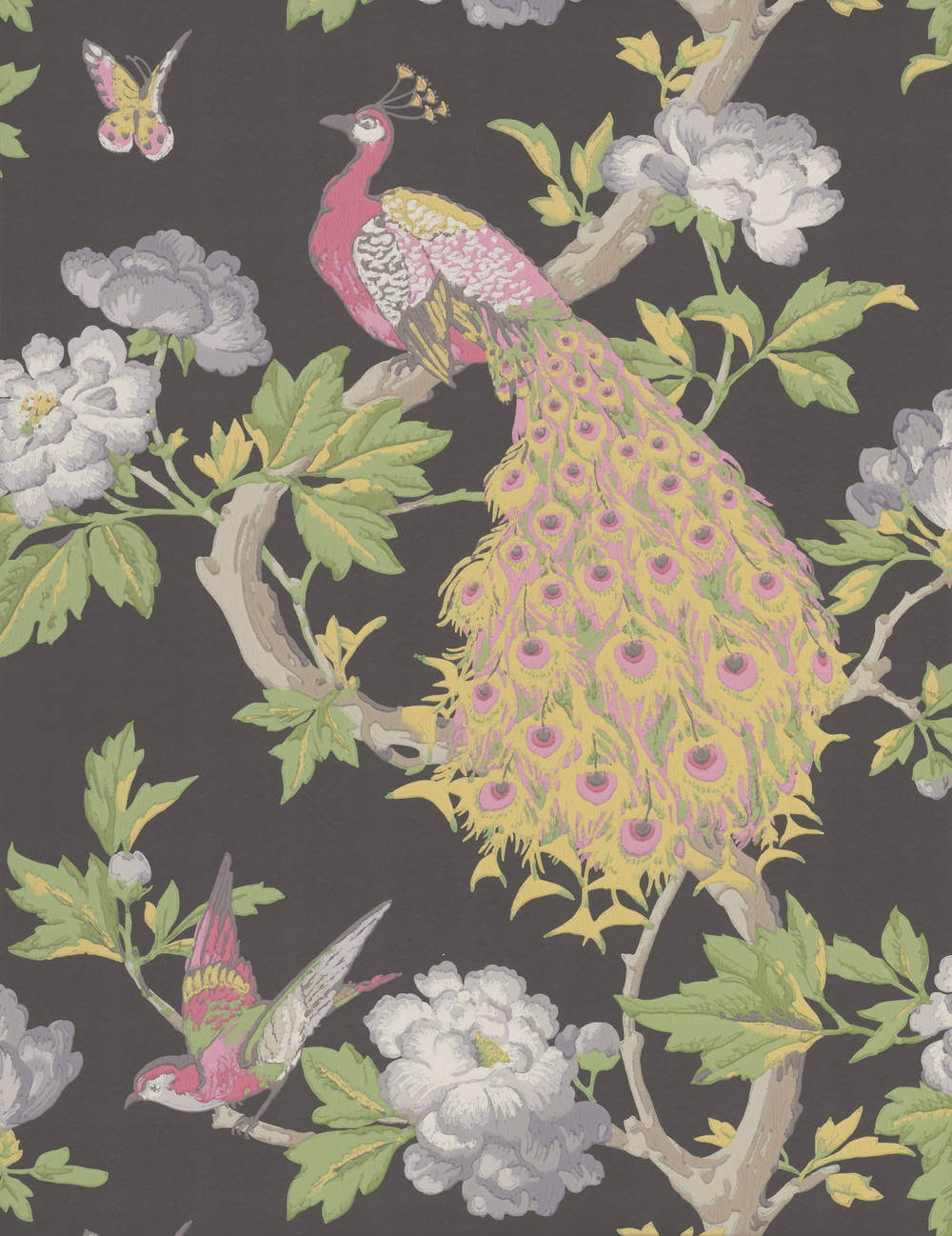 Little Greene National Trust Papers Pavona Maeve