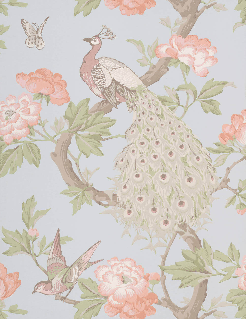 Little Greene National Trust Papers Pavona Pearle