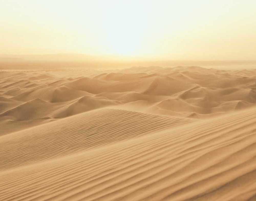 Noordwand Atmosphere G78423