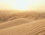 Noordwand Atmosphere G78423