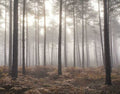 Noordwand Atmosphere G78426