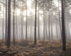 Noordwand Atmosphere G78426