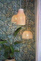 Noordwand Botanica 33304