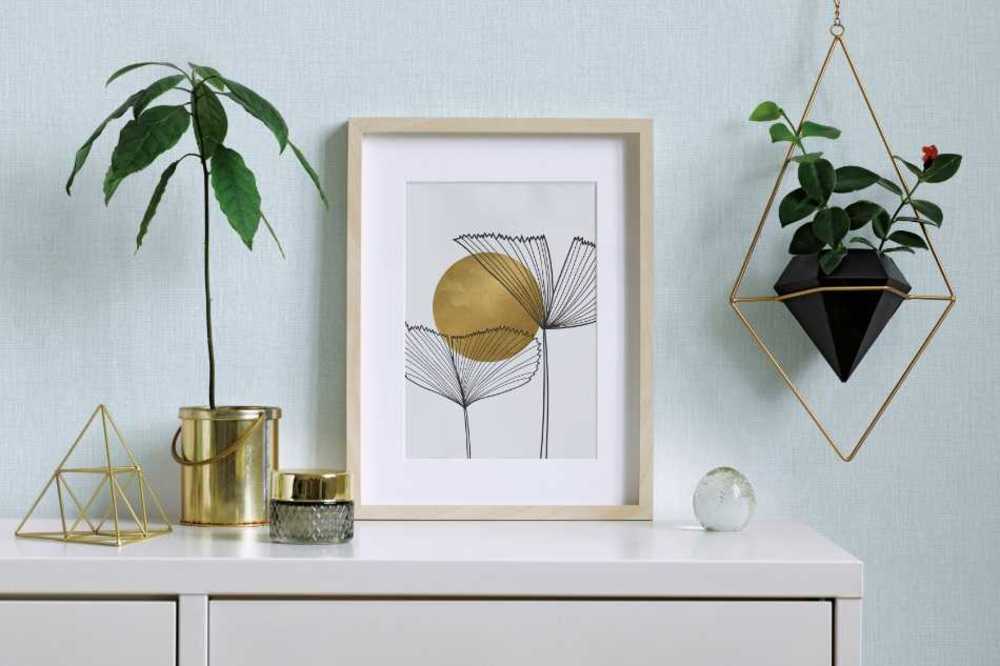 Noordwand Botanica 33962