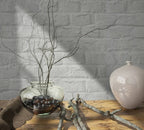 Noordwand Loft 34166
