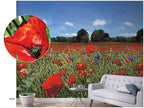 Noordwand Smart Art Easy 47273