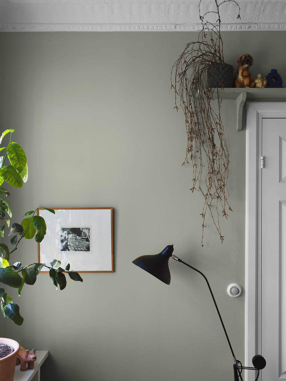 Boråstapeter Pigment 7559