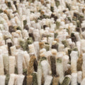 Brink & Campman vloerkleed - Rocks 070537 Moss