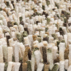 Brink & Campman vloerkleed - Rocks 070537 Moss