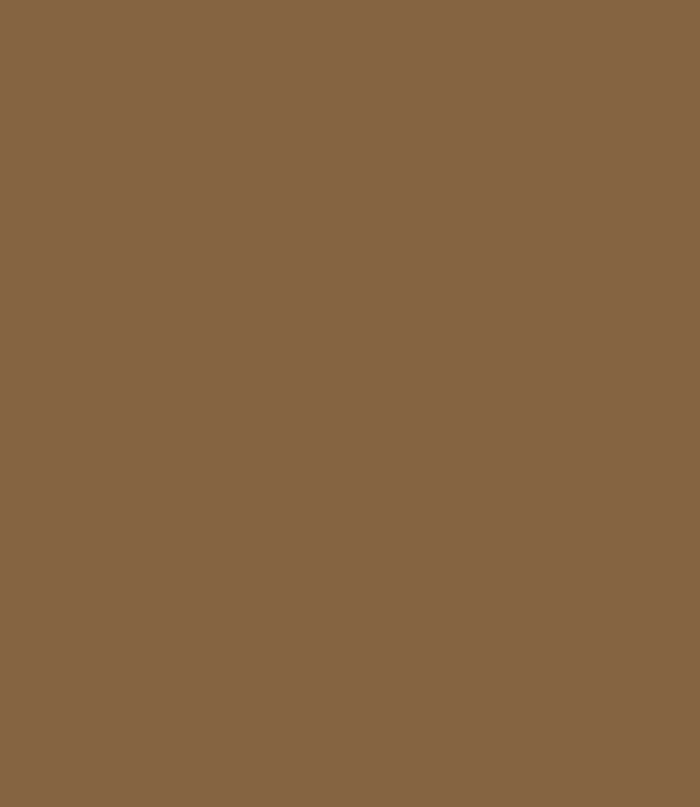 Carte Colori Arenaria (CC016) - 50 ml Tester Krijtverf