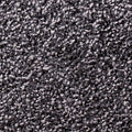 Staal Ambiant Entrance 0210 Granite – Droogloopmat