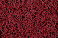 Staal Forbo Coral Grip HD 6123 Wine – Spaghettimat buiten