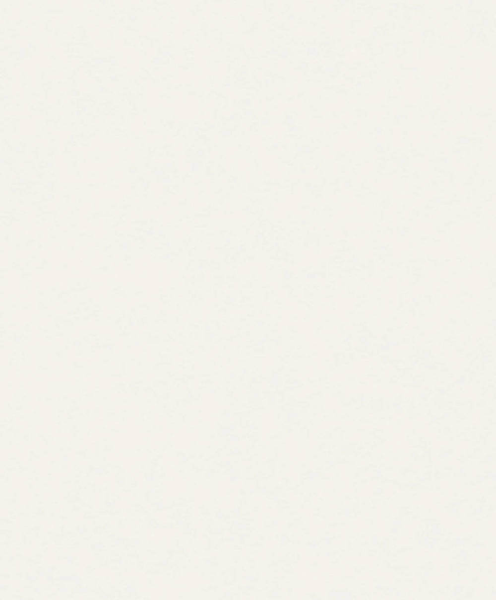 Dutch Wallcoverings Attitude A65601
