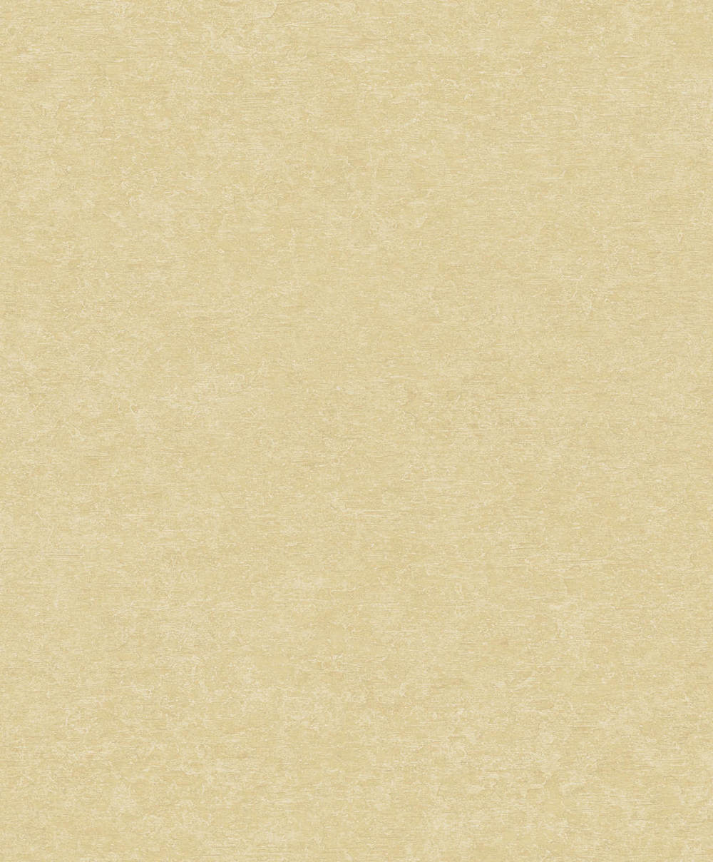 Dutch Wallcoverings Attitude A65604