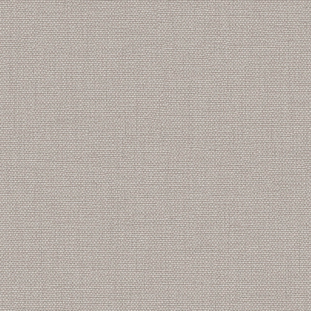 Dutch Wallcoverings Exclusive Threads TP422943
