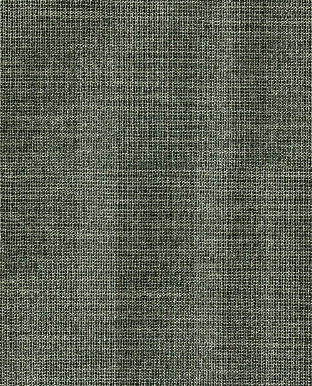 Eijffinger Natural Wallcoverings III 303520