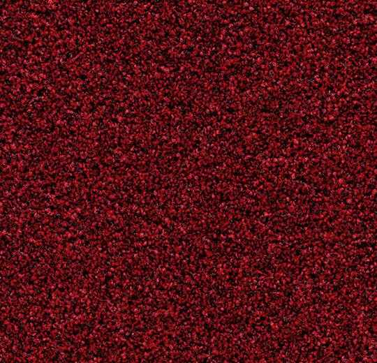 Staal Forbo Coral Bright 2603 Vivid Earth – Droogloopmat