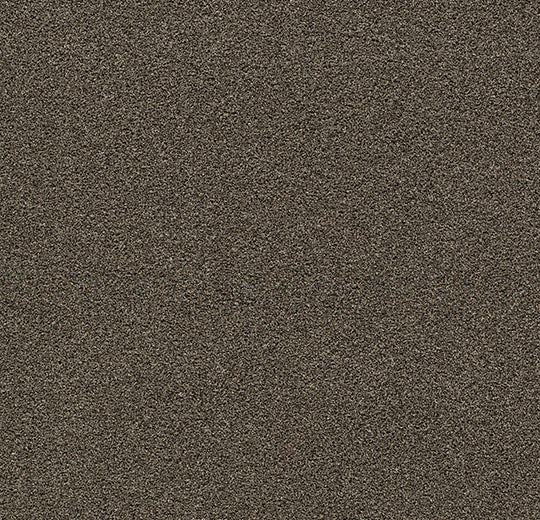 Forbo Coral Bright 2604 Virgin Sand – Droogloopmat