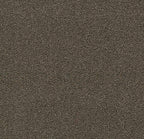 Forbo Coral Bright 2604 Virgin Sand – Droogloopmat op maat