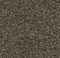Forbo Coral Bright 2604 Virgin Sand – Droogloopmat