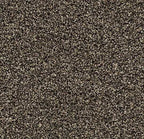 Forbo Coral Bright 2604 Virgin Sand – Droogloopmat