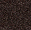 Staal Forbo Coral Bright 2606 Fine Peat – Droogloopmat