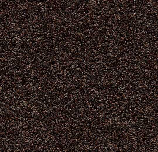 Staal Forbo Coral Bright 2606 Fine Peat – Droogloopmat