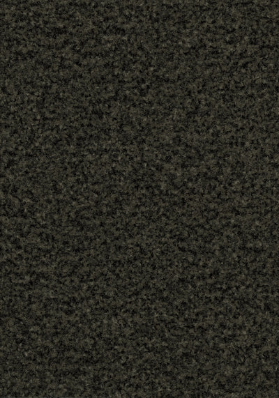 Forbo Coral Brush 5215 Charcoal Grey Schoonloopmat op maat