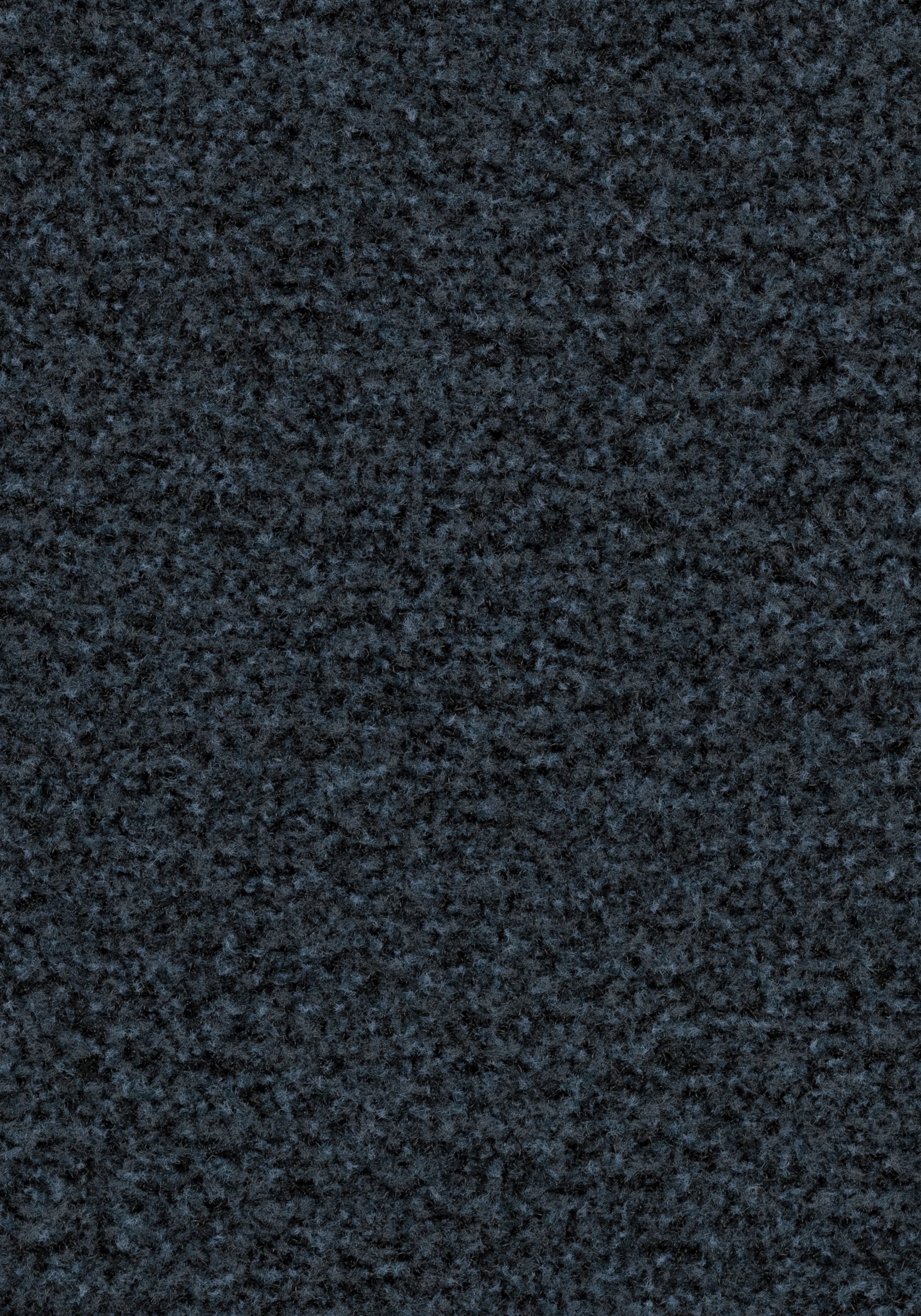 Forbo Coral Brush 5232 Glacier Blue – Schoonloopmat
