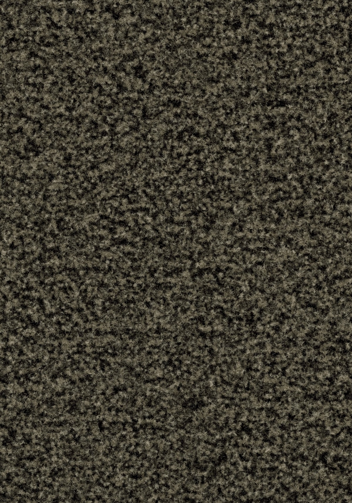 Forbo Coral Brush 5234 Fossil Grey – Schoonloopmat