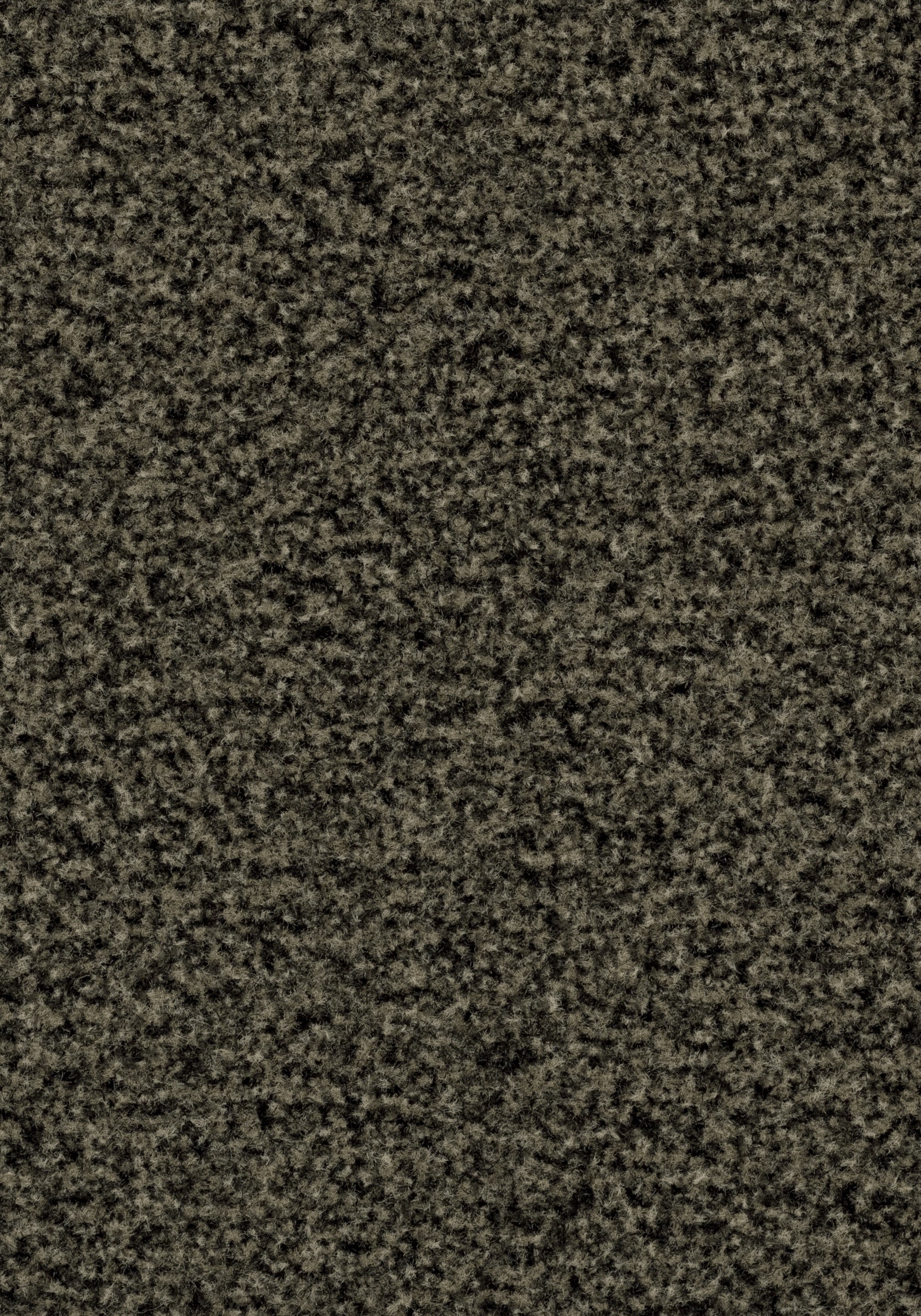 Forbo Coral Brush 5234 Fossil Grey – Schoonloopmat
